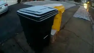 Lonely Trashie Cat (01/19/2026)