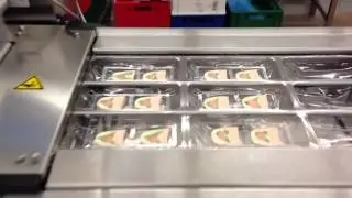 Frischkost Edelfischterrine