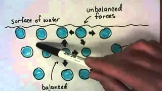 What causes Surface Tension?