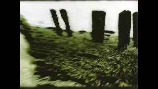 Peter Andersson - Firedance