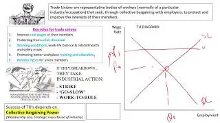 Labour market issues tutorial