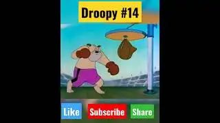 Droopy 🐶 - The Ultimate Boxing🥊#shorts #droopy #savage #boxing #sports #funny #cartoon
