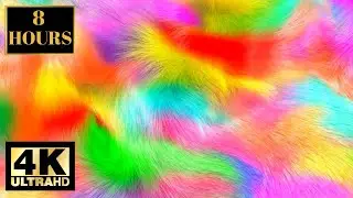 Happy Pride Gay Pride Colors Rainbow LGBTQ With music Wallpaper Screensaver Background 4K 8 HOURS