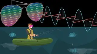 Mit dieser Brille siehst du das Unsichtbare! | Wie Polarisation wirklich funktioniert | Visual X