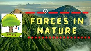 FORCES IN NATURE  I   ENGINEERING PHYSICS  I  NEELAM RAMESH