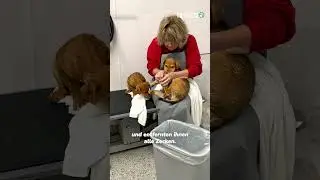 Diese zwei Welpen liefen genau vor das richtige Auto❤️❤️