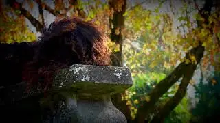 Azio Corghi: Nocturnus visus per clarinetto solo