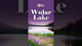 Wular Lake is Dying? The Hidden Crisis in Kashmir! 😨🌍| NEXT MAPS