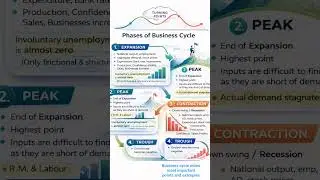 Business cycles most important points and examples please don't ignore