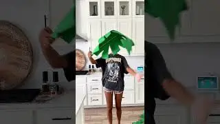 Making DIY GIANT paper palm trees