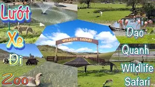 Zoo Ride - Wildlife Safari Tour - Oregon Wildlife Safari 2021 - A Time To Remember - Vlog 142
