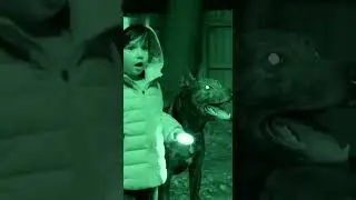 Dog saves child from big owl