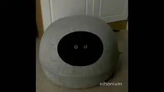 void cat