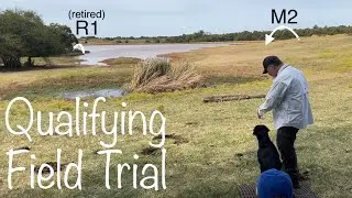 Qualifying Retriever Field Trial w/ Judges Instructions: 4th Series