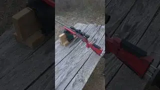 .17 HMR packs a punch #outdoors #hunting #hornady