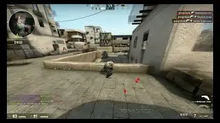 moneybot quality test