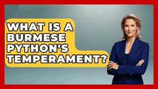 What Is A Burmese Python's Temperament? - Reptilian Wonders