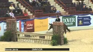 1391 OMNIVOR Bonnie Jarvis, Class 301 Field Hunters 35 & under