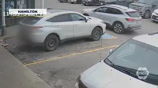 Hamilton police share videos of distraction thefts after dismantling criminal network