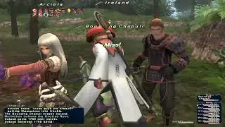 FINAL FANTASY XI Geomancer Ireland Seekers Of Adoulin Ceizak Battlegrounds Branching Out 17.06.22