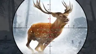 Deer Hunting 3d - Wild Animal Shooting Games 2021 Android Gameplay