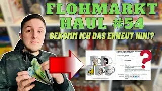 FLOHMARKT HAUL #54 Geldexperiment - Machen wir Gewinn? RESELLING TIPPS & TRICKS Tr&ouml;delmarkt Pickups