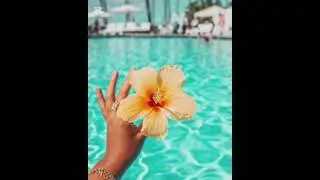 Summer slay￼