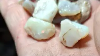 EMBARRASMENT OF OPAL RICHES