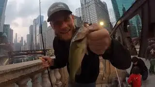 Downtown Chicago Fishing w Friends|| Catching Bass on a Bridge Chicago Fishing Tips