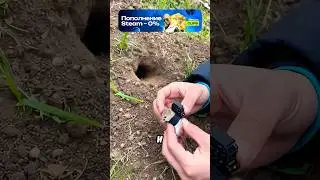 Камера на мышонке засняла ужасное 😱
