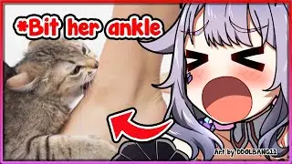 [ENG SUB/Hololive] Biboo is being way too hyperactive that John Cat has to bit her ankle
