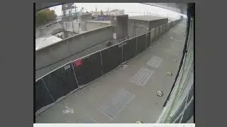 Raw: Pier 58 on Seattle waterfront collapses