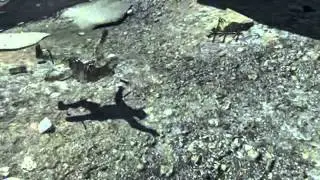Turbo Alarie - MW3 Game Clip