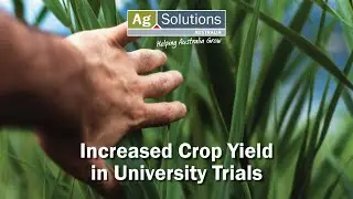 Increased Crop Yield in University Trials