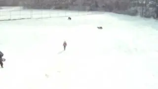 Sledding at Timberline Park