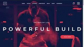 Topfit Theme Demo Importer