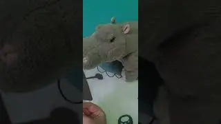 Object Vibration 3. One mouse wonder!