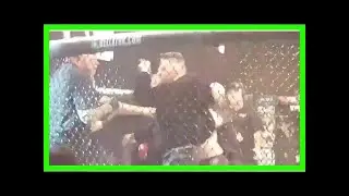 Conor mcgregor reveals emotive reason why he invaded octagon and pushed referee