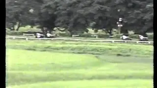 Hipodromo Buijo MILLENIUM (Usa) (Carfty Prospector y Miss Unnameable)