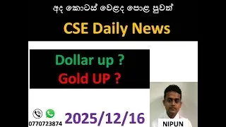 CSE Daily News - 16th of December 2025