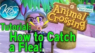 Учебное пособие по Animal Crossing &mdash; КАК ПОПАТЬ БЛОХУ / МОИ ЖИВОТНЫЕ ЧЕШУТСЯ &mdash; New Horizons