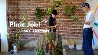 My First Plant Installation & Teaching a Workshop w/ JiaHao - Plant Diaries