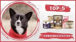 Das Beste 🔥 Nassfutter f&uuml;r Ihren Hund 🐶 TOP-5