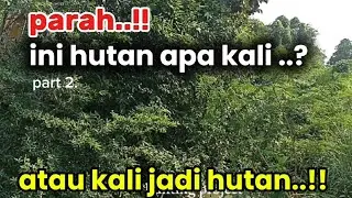 Parah..!! Ini hutan apa kali atau kali jadi hutan part 2 || normalisasi kali cikarang