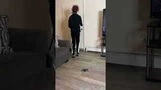 Она действительно боится пауков 😂 #смешно #комедия #пары