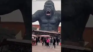 Theme Park Rides That Went Too Far 😳