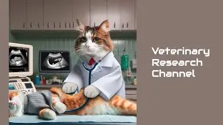 26. Feline Nephrocalcinosis  Ultrasound, Micro CT, and Histopathology