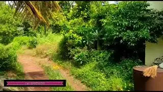 Settlement Plot For Sale in  chikle Just 6kms from  Mapusa Goa