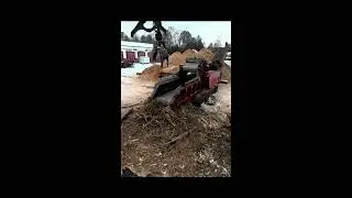 Grind Time! Making Wood Chips with Bandit Beast! Episode 10! Snow day!