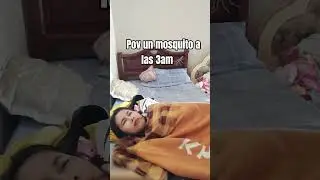 Son un fastidio 😭 no dejan dormir 😢 #humor #comedia #memes #elpersonajedelasemana #viralvideo